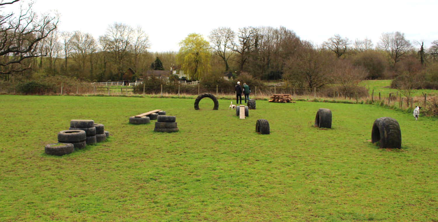 Exercise Field \u0026 Private Secured Dog 